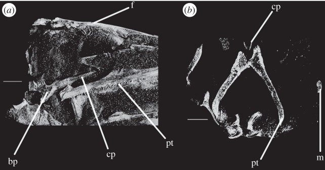 Figure 13.