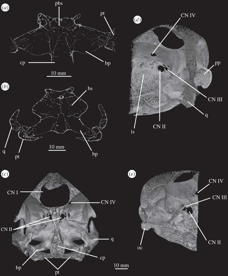 Figure 19.