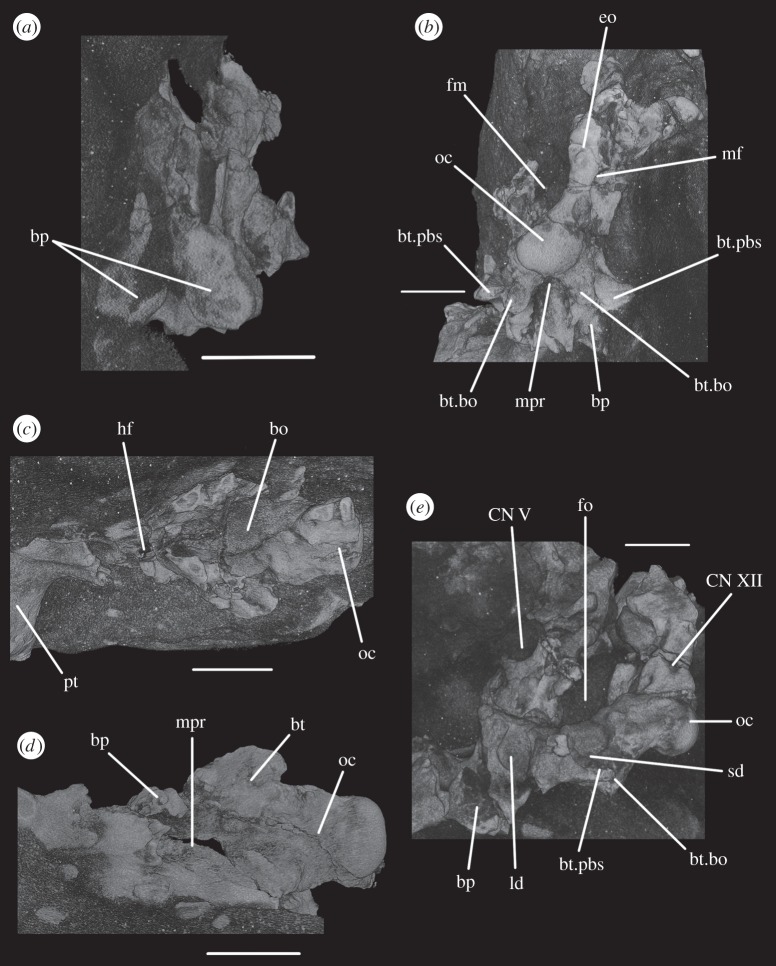 Figure 14.