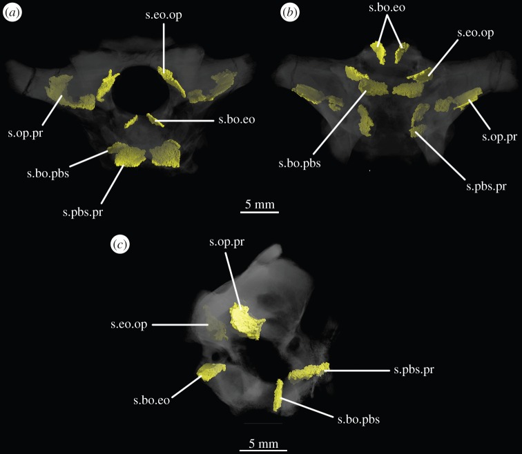 Figure 6.