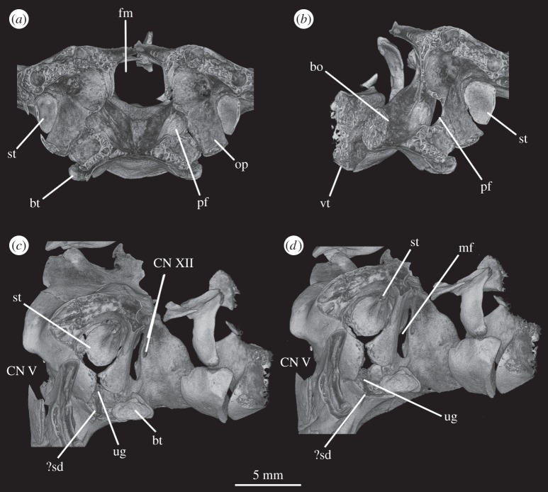 Figure 20.