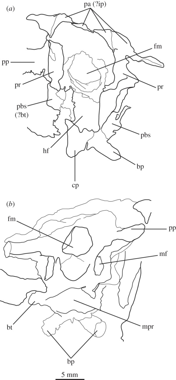 Figure 8.