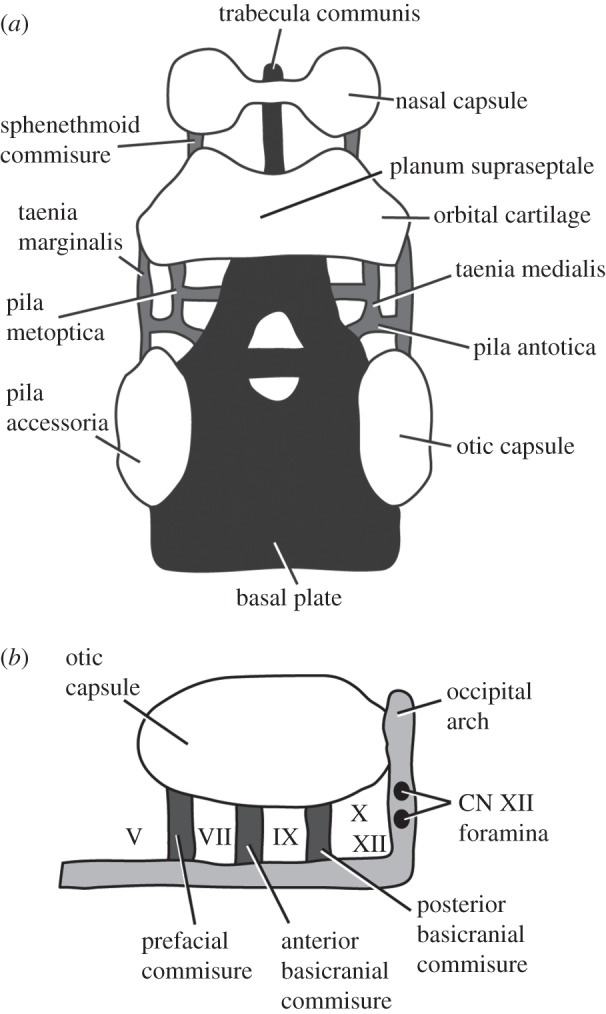 Figure 18.