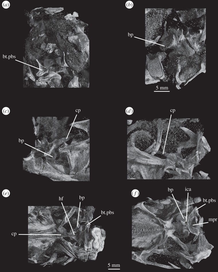 Figure 12.