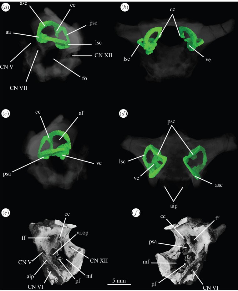 Figure 16.