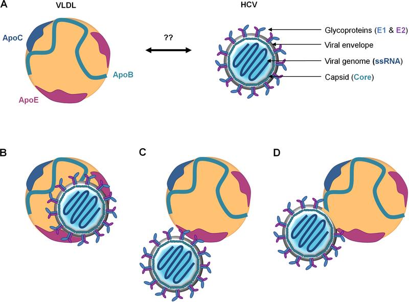 Figure 4: