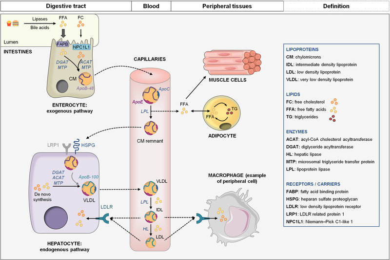 Figure 2: