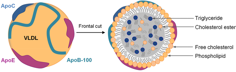 Figure 1: