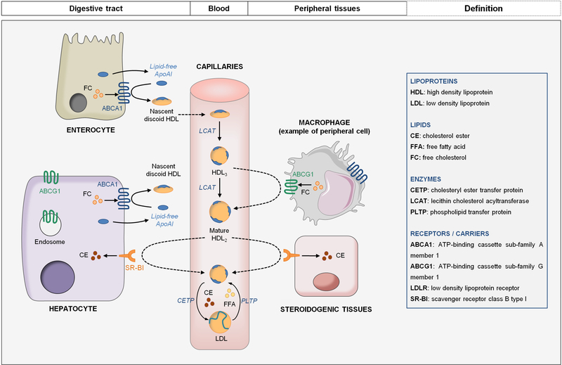 Figure 3: