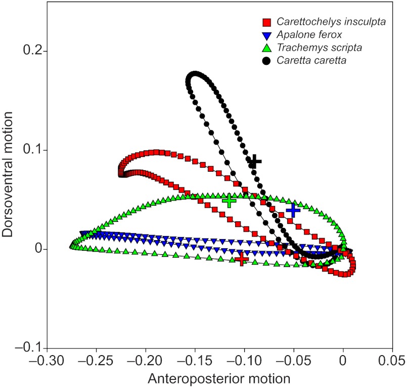 Fig. 6.