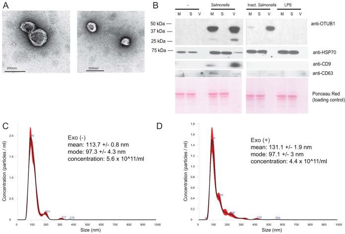 FIG 6