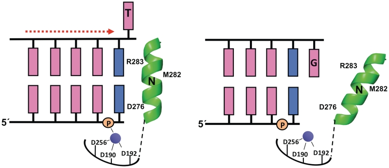 Figure 6.