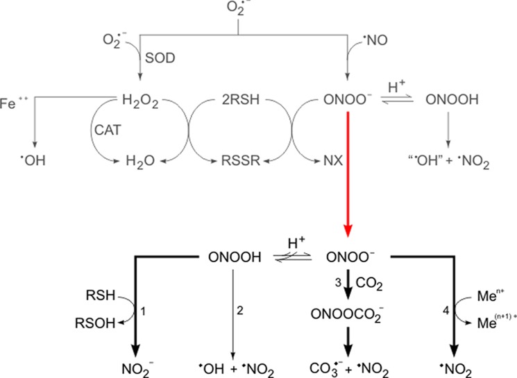 FIGURE 1.