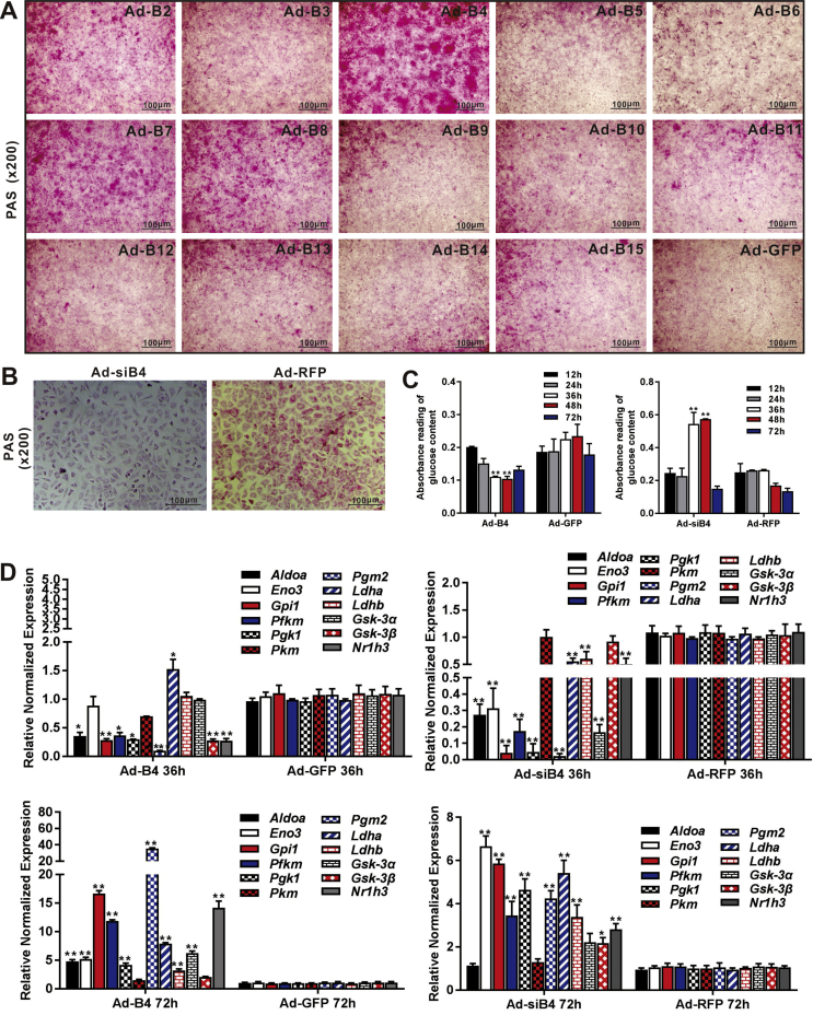 Figure 2