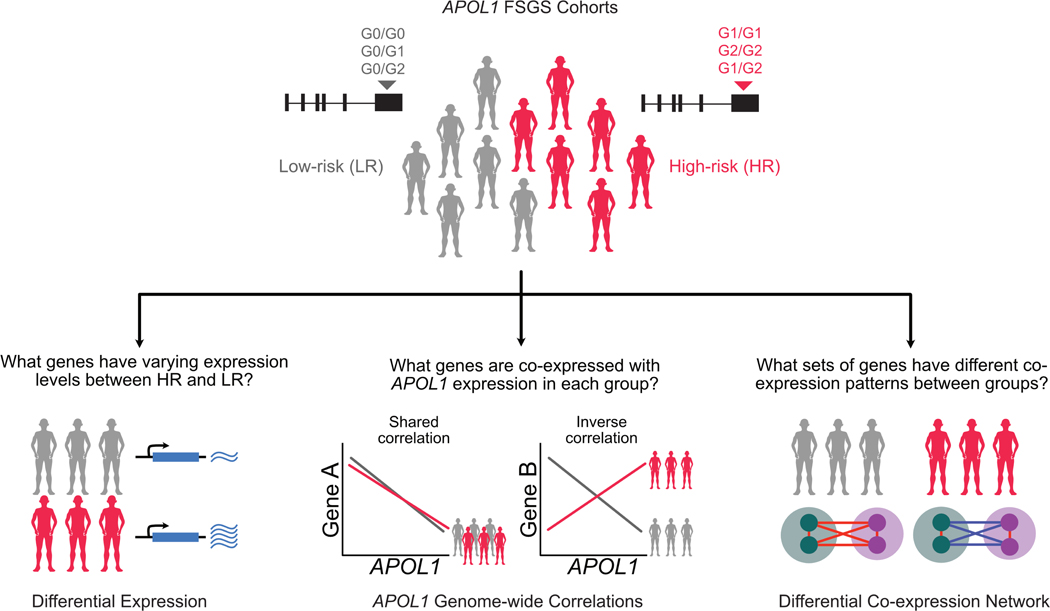 Figure 1 -