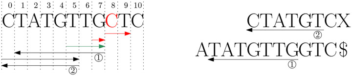 Figure 1:
