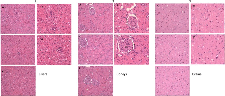 Fig. 5.