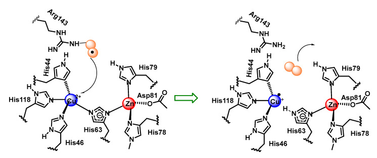 Figure 34