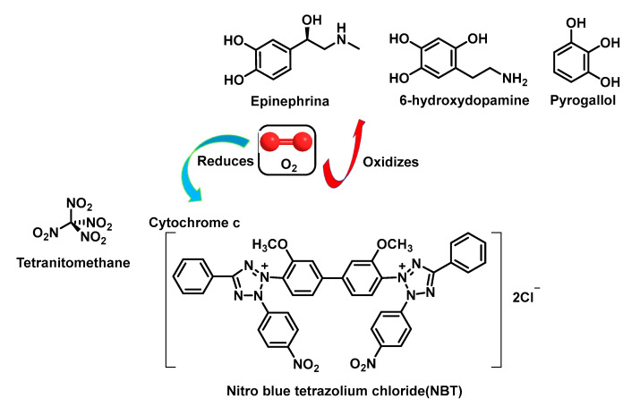 Figure 38