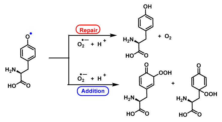 Figure 51