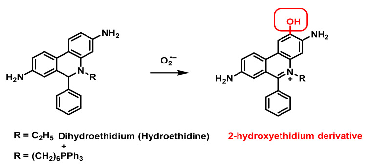 Figure 62