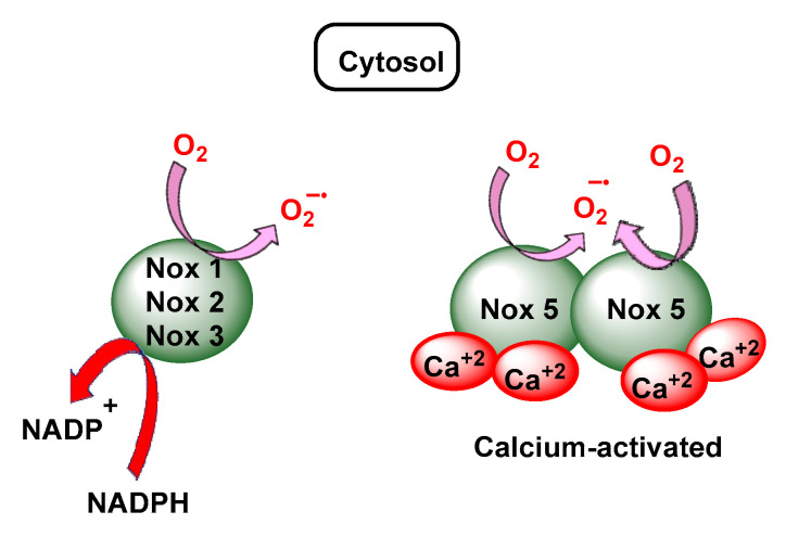 Figure 13