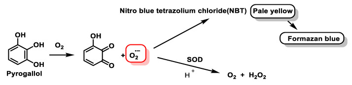 Figure 39