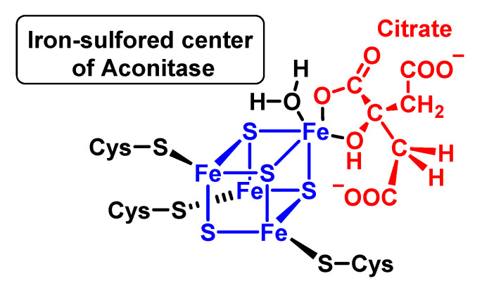 Figure 43