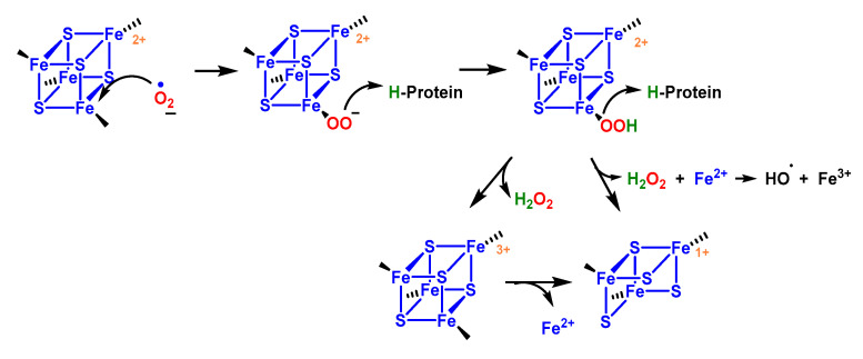 Figure 45