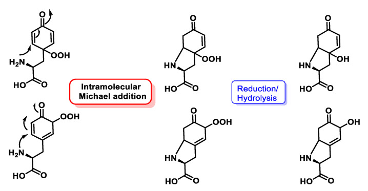 Figure 54