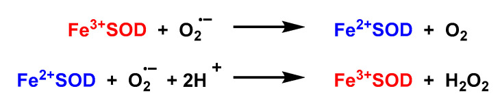 Figure 37