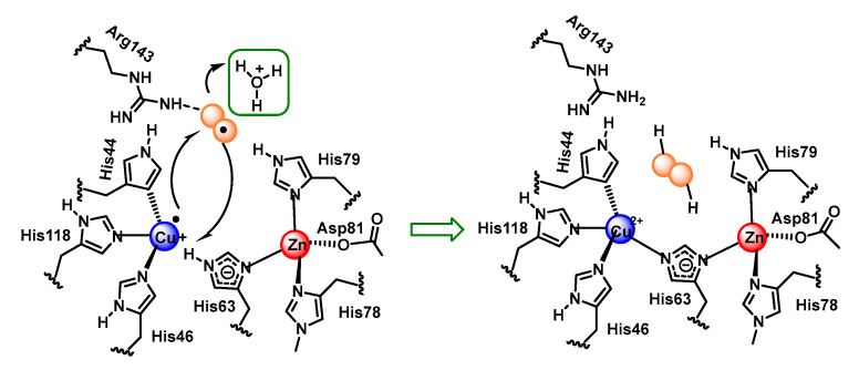 Figure 35