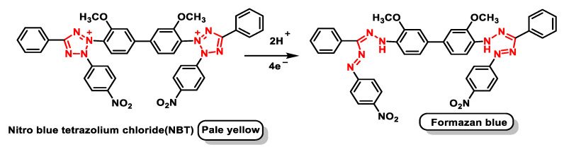 Figure 40