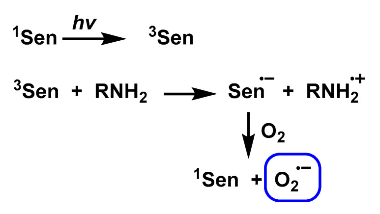 Figure 24