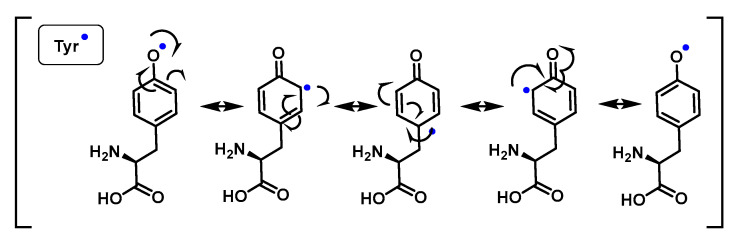 Figure 52