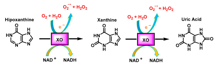 Figure 15