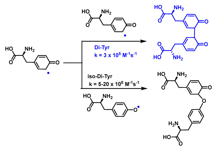 Figure 53