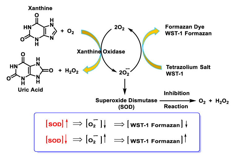 Figure 41