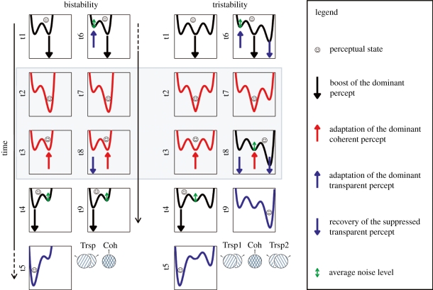 Figure 7.