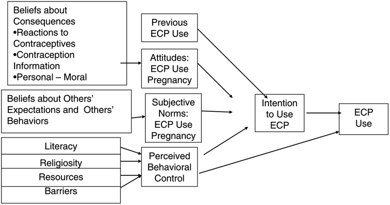 FIGURE 1.