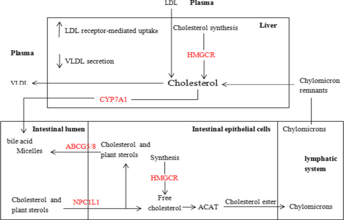 FIGURE 1