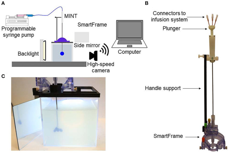 Figure 2