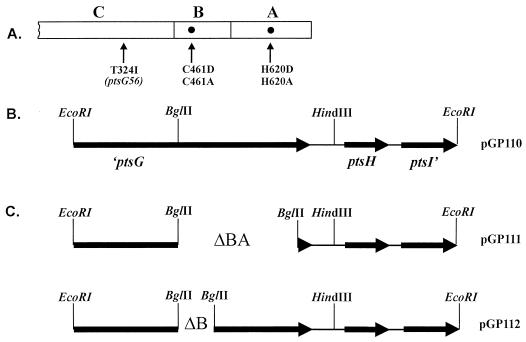 FIG. 1
