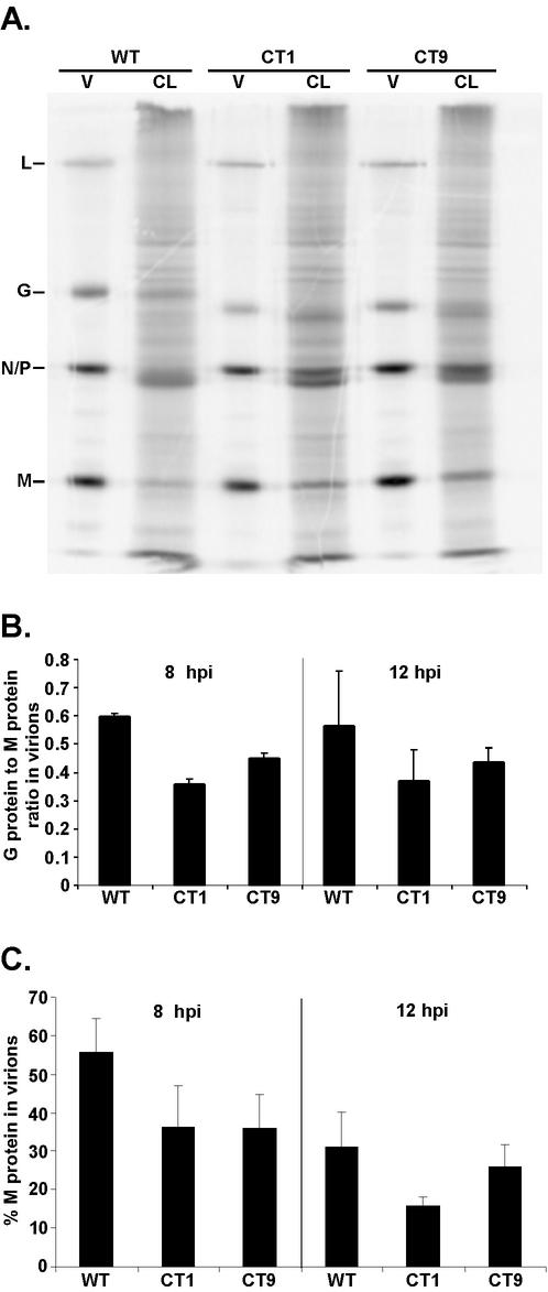 FIG. 5.