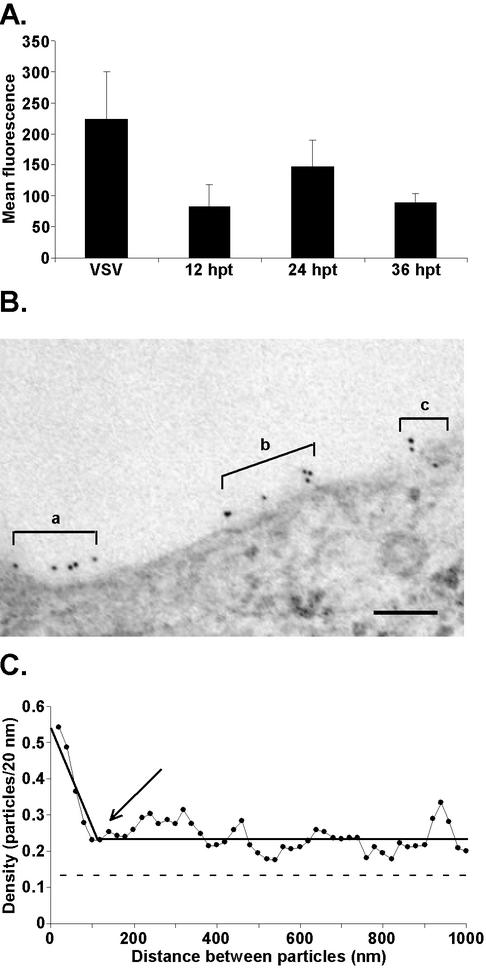 FIG. 1.