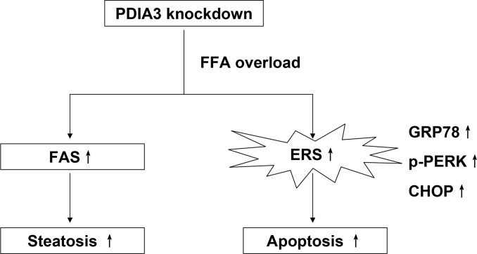 Fig 7