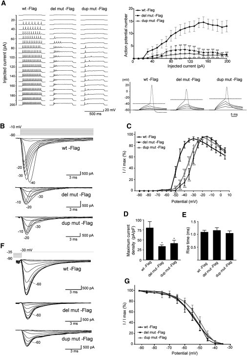 Figure 6