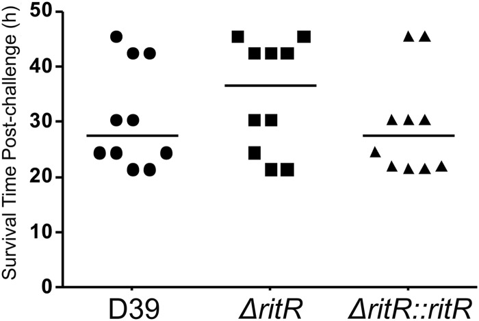 Fig 5