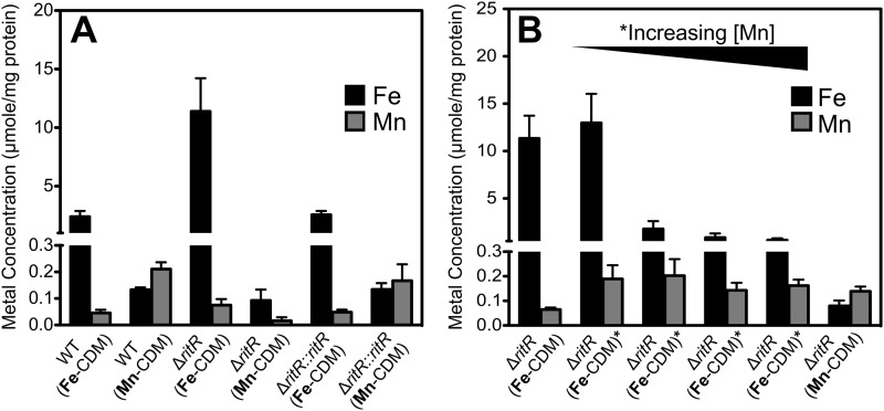 Fig 2