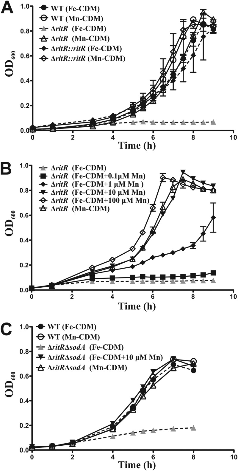 Fig 1